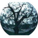 IMAG0006
